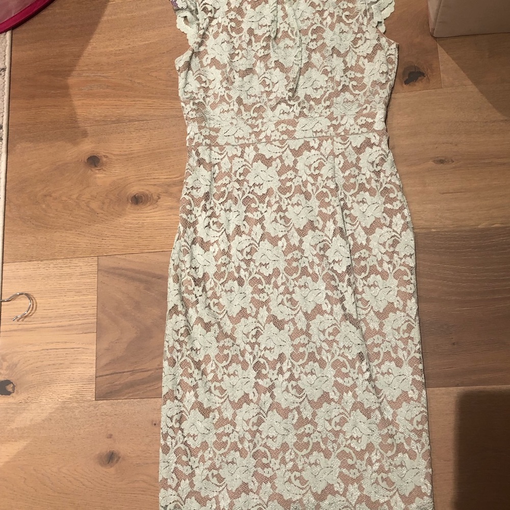 Abs Mint green and nude sheath dress